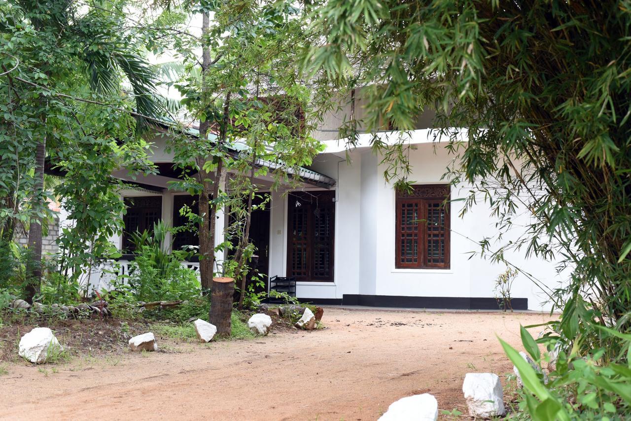 Sun And Green Eco Lodge - Dambulla Exteriör bild