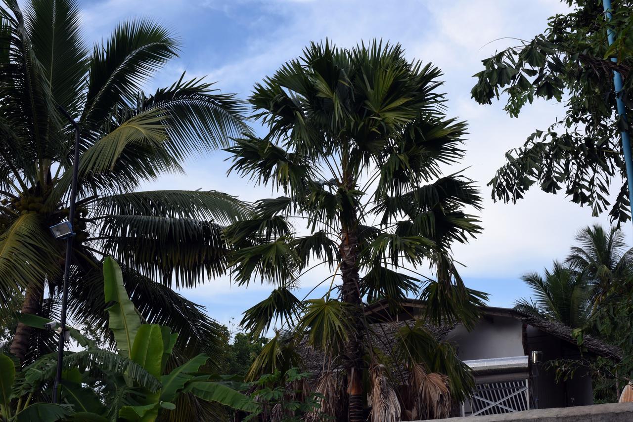 Sun And Green Eco Lodge - Dambulla Exteriör bild