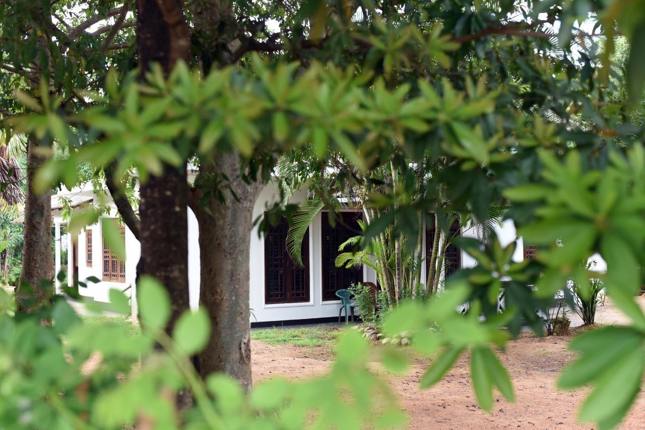 Sun And Green Eco Lodge - Dambulla Exteriör bild