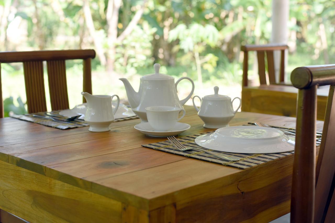 Sun And Green Eco Lodge - Dambulla Exteriör bild