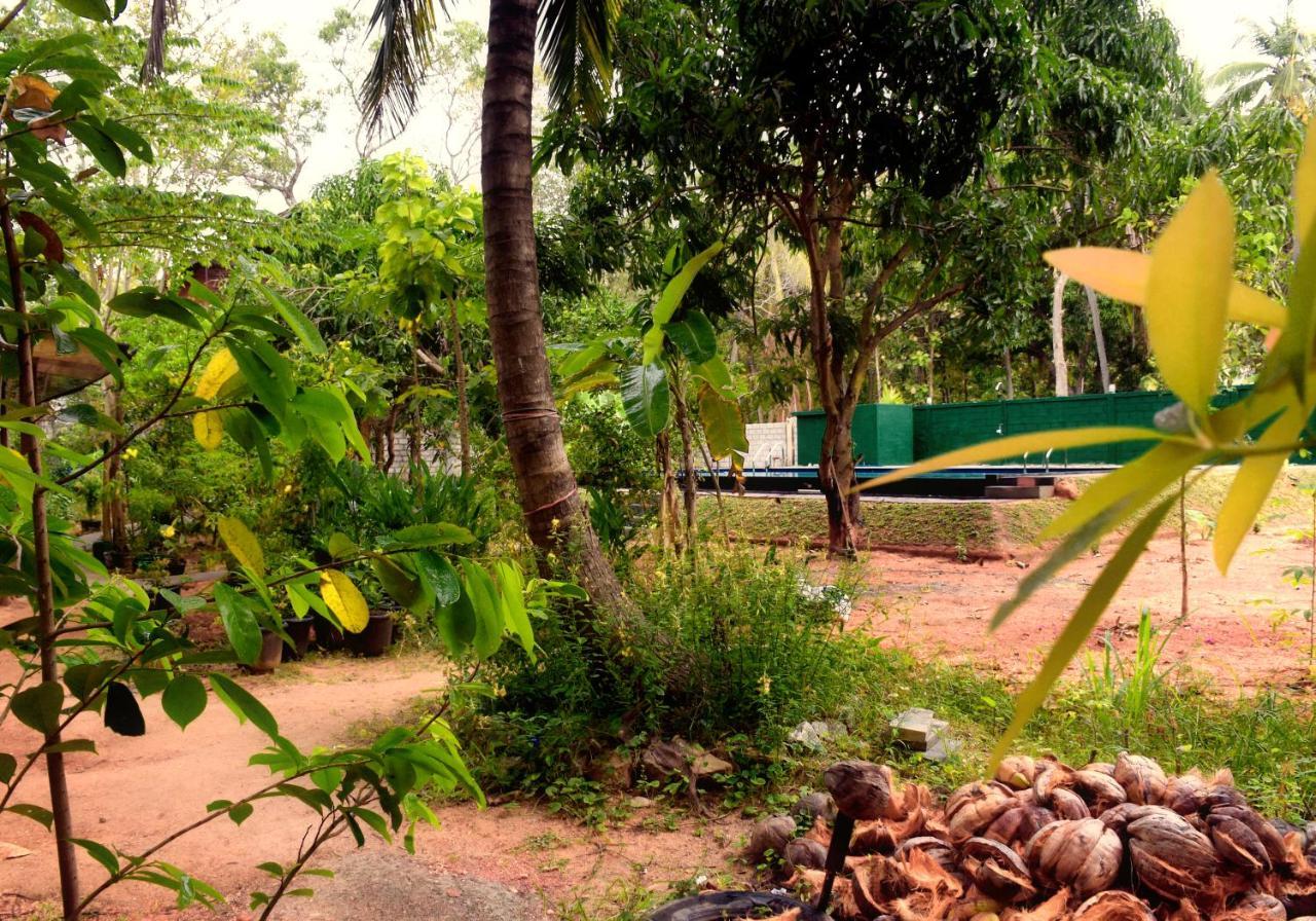 Sun And Green Eco Lodge - Dambulla Exteriör bild
