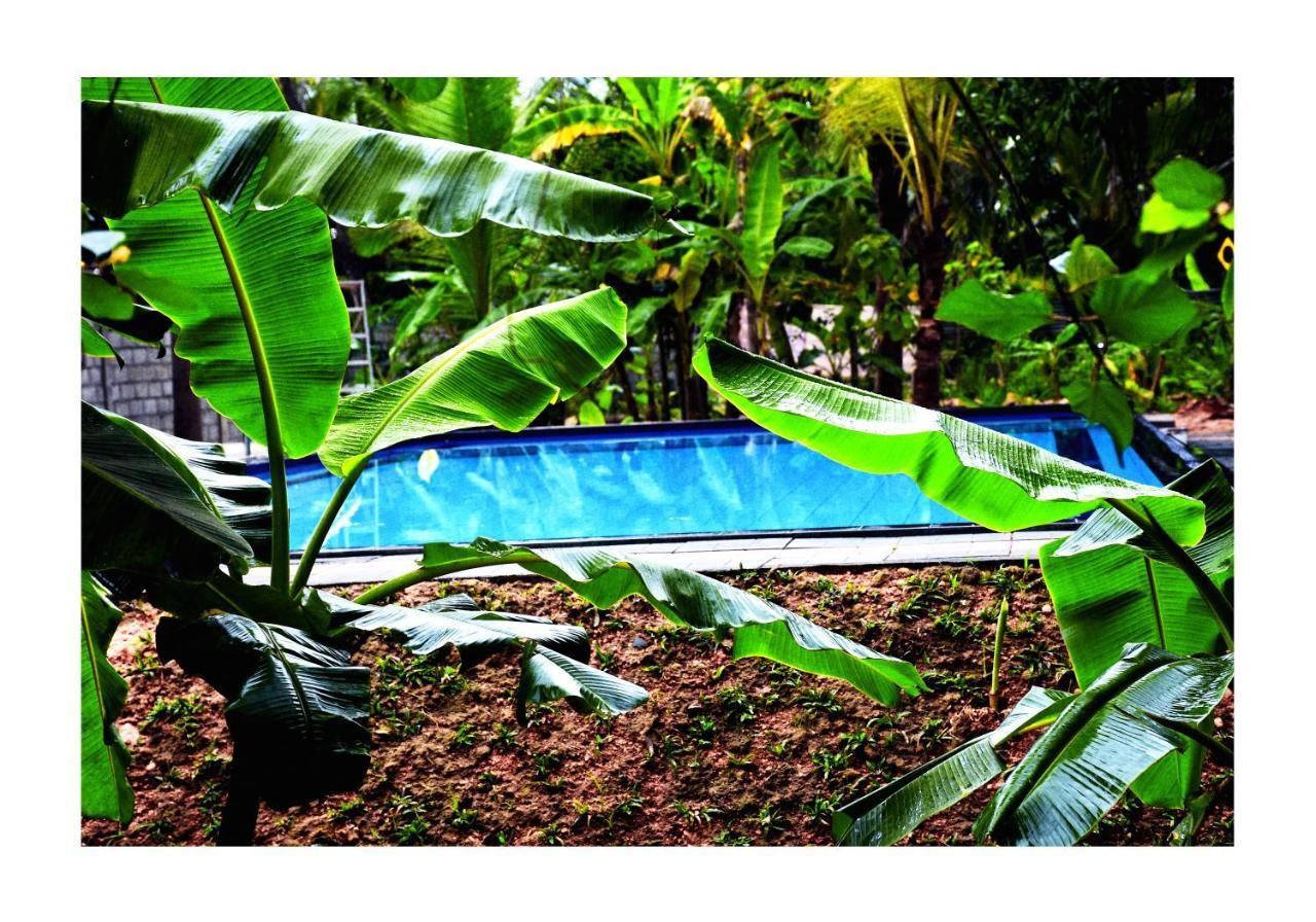 Sun And Green Eco Lodge - Dambulla Exteriör bild
