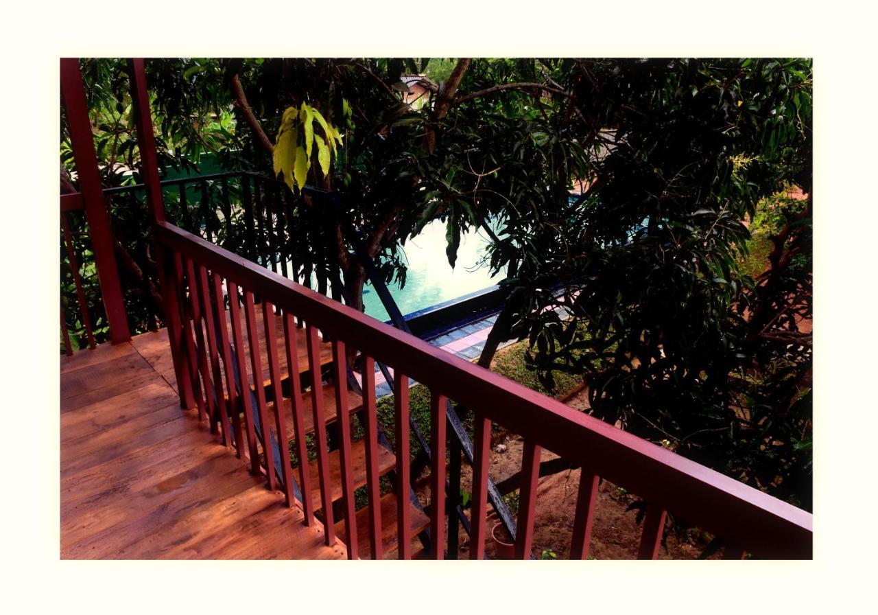 Sun And Green Eco Lodge - Dambulla Exteriör bild