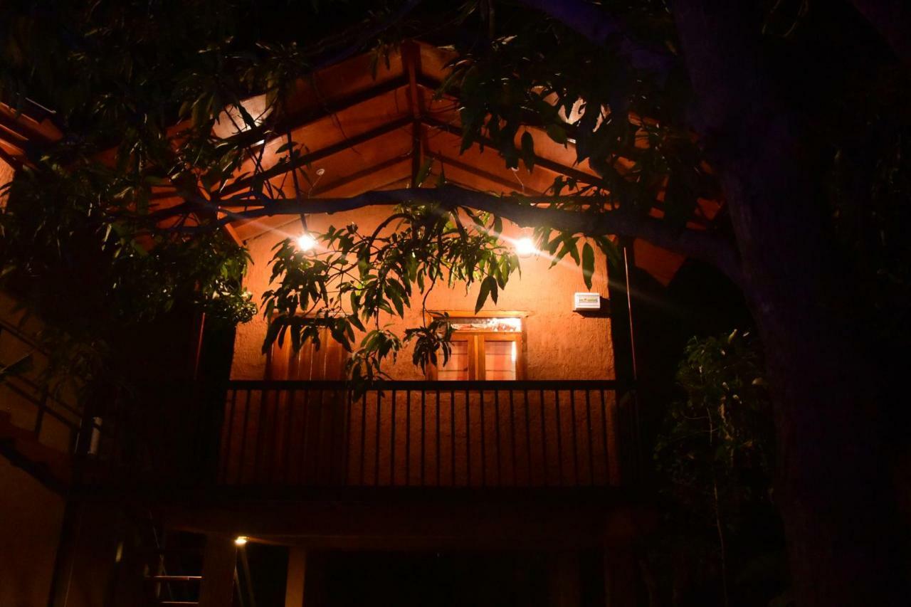 Sun And Green Eco Lodge - Dambulla Exteriör bild
